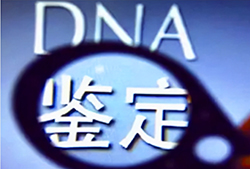 长沙亲子鉴定机构结果准不准确，长沙亲子鉴定机构电话地址查询