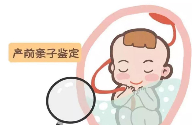 长沙产前亲子鉴定基本流程,长沙孕期亲子鉴定收费标准