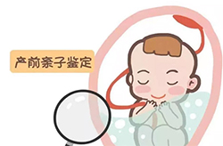 长沙产前亲子鉴定基本流程，长沙孕期亲子鉴定收费标准